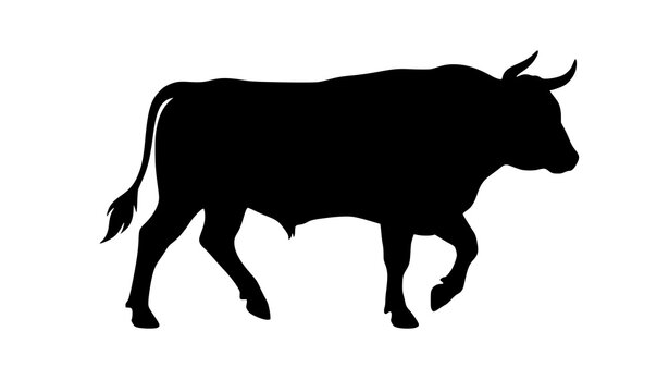 Minimal Black Dairy bul Cow Walking Silhouette Vector Isolated on White Background