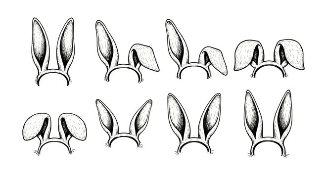 Rabbit ears, vector illustrations, black outlines, animal features, set of 8