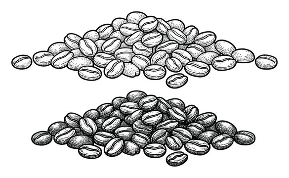 手描き風のコーヒー豆の山が二つ並んでいる白黒のイラストレーション