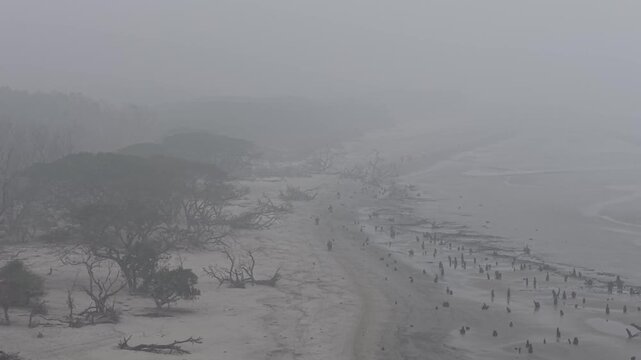 Drone view of a line of motorcycles on a foggy Kuakata beach