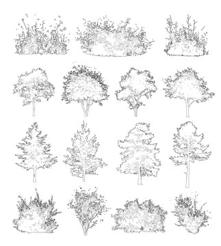 Pack of trees and bushes in elevation view for use in architectural drawings