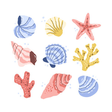 Sea shells set starfish and colorful corals collection. Marine summer elements. Hand drawn vector in simple style