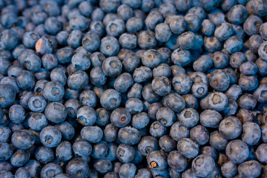 Blueberry texture background. Fresh blue berry fruits pattern