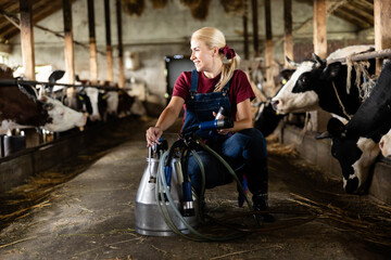 Obraz premium Young woman working in a barn, preparing a milking machine for cows, representing modern agriculture and dairy farming