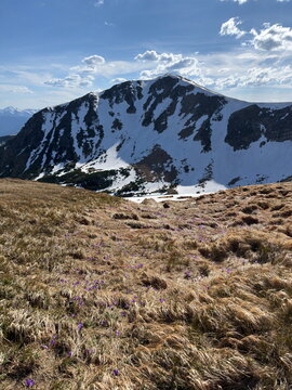 Panoramic view of snowy Carpathian mountain peak Ukraine