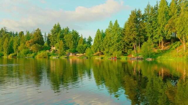 Golden hour reflection of green forest trees on calm lake water