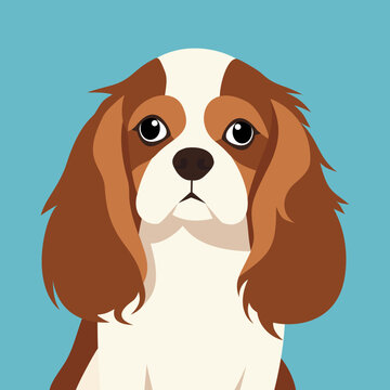 A charming illustration of a cavalier King Charles spaniel with soft fur and expensive eyes.