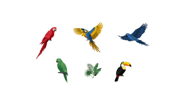 Colorful flying tropical birds illustration set with vibrant parrots and toucan Vector