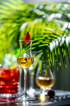 Elegant amber alcoholic drink cocktail in tiny crystal glass with orange zest on black marble table. Sophisticated bar menu concept featuring classic spirits and tropical plant foliage.