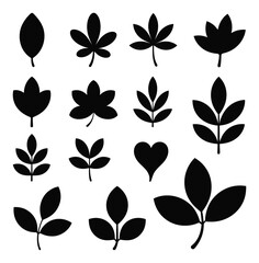 Obraz premium 様々な種類の植物の葉をデザインした黒いシルエットのアイコンセット