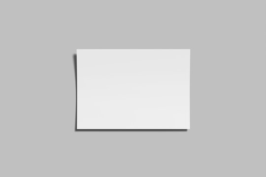 Landscape Flyer Blank Mockup 