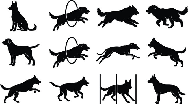 Set of dog silhouettes showing canine agility training jumping through hoops and running icons on a white background
