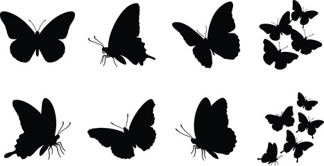 Butterfly Silhouette Set with Flying Insects and Group Swarm Icons Isolated on White Background © MdAbdur