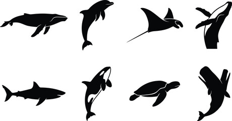 Marine Life Silhouette Set with Whale, Dolphin, Shark, Turtle, and Stingray Icons Isolated on White Background © MdAbdur