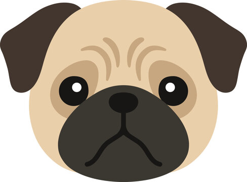 Pug