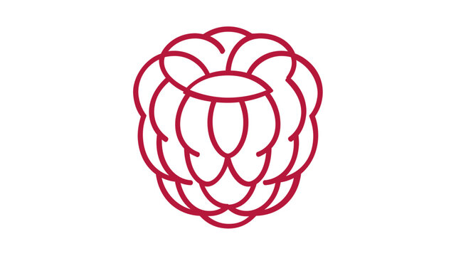 A minimal clean flat vector line icon depicting raspberries, perfect for farm shop tags, bakery branding, drink menus, and recipe cards.