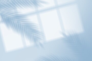 Shadow of palm leaves and window frame on light blue wall background © Heru