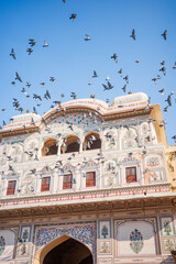 A dramatic flock of pigeons soars above an ornately painted heritage gateway in Jaipur, Rajasthan, India. The colorful Rajput architecture, intricate floral motifs, and clear blue sky © pploylp