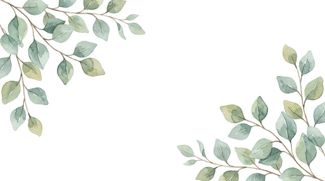 Watercolor eucalyptus leaf corner frame transparent PNG botanical foliage border clipart for invitations