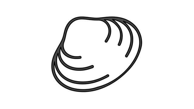 Hand drawn clam seashell vector icon illustration in simple minimalist black outline, beachcombing shellfish souvenir, tropical coast motif for clean travel and tourism design asset