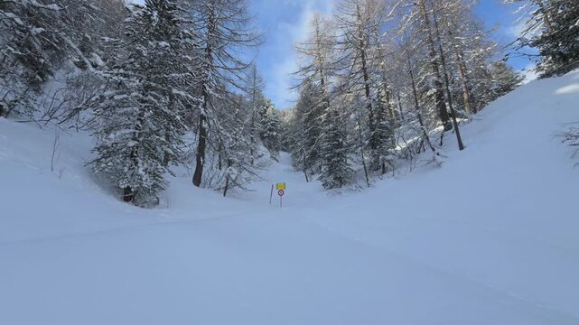 Snow-laden conifers rise on both sides of a Cavloc mountain slope with a small warning sign at the base under a clear blue sky.