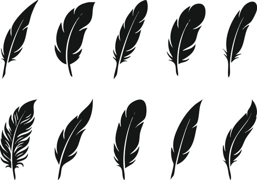 set of black feathers