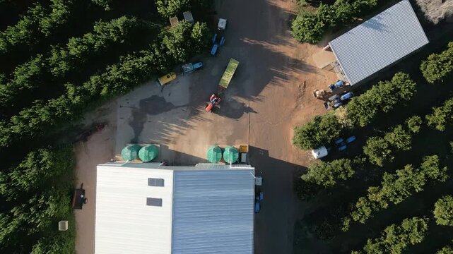 Tractor with trailers moves through a paved yard between orchard rows and metal sheds on a commercial citrus operation.