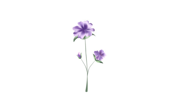 Botanical Micro Element 08