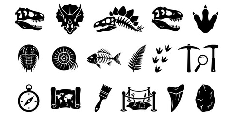 Fossils and dinosaur bones are displayed on a table. © Dhani