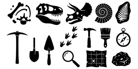 Fossils and tools for excavation displayed on a table indoors. © Dhani