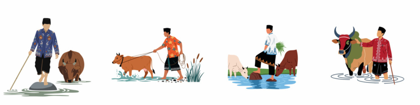 Set of illustrations depicting Indonesian men in traditional clothing tending to and leading cattle in rural aquatic settings on a white background.