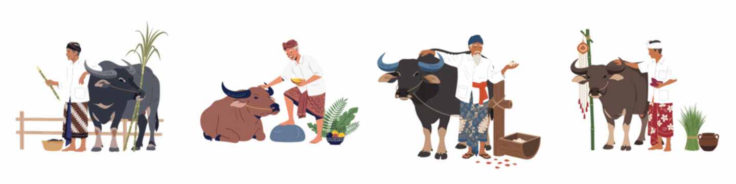 Traditional Indonesian farmers in batik sarongs and headgear with water buffaloes, flat vector illustration set isolated on white background.