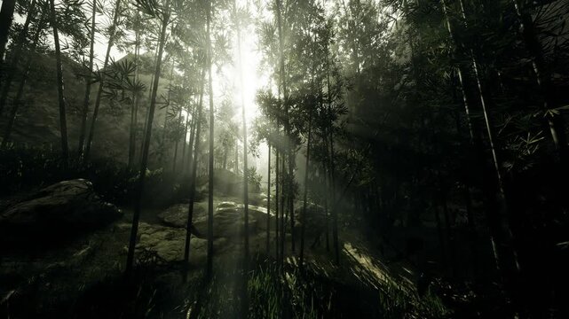 Sunbeams piercing mist in dense forest, tall trunks and layered undergrowth create dramatic light shafts and deep shadows, ethereal atmosphere with dappled