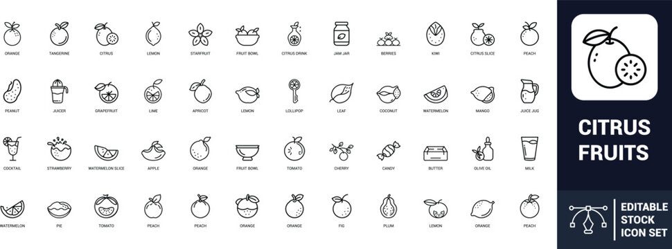 Citrus fruits line art icons set orange, lemon, lime, grapefruit, tangerine, citrus slice, juice, fruit bowl, Web icon, App icon, Outline icon, Editable stroke, line art, Vector EPS