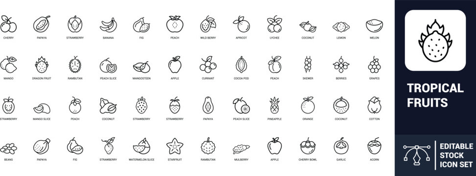 Tropical fruits line art icons set dragon fruit, mango, papaya, rambutan, lychee, mangosteen, coconut, pineapple, banana, Web icon, App icon, Outline icon, Editable stroke, line art, Vector EPS