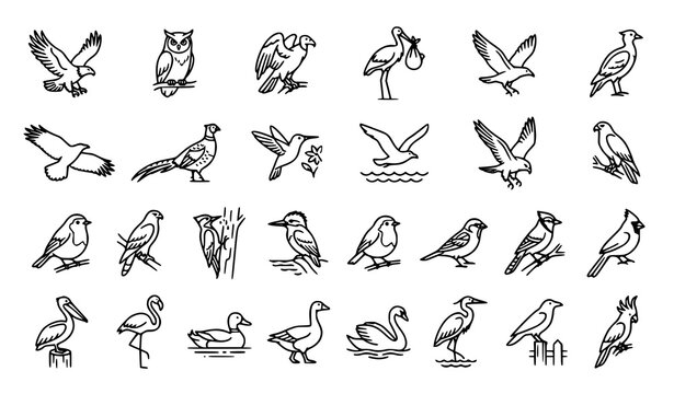 Bird Outline Collection with Flying Perching Water Birds and Wildlife Sketch Vector Illustration Set