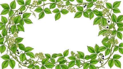 Fototapeta premium Oval Botanical Vine Frame, A digital illustration of green vines with five-lobed leaves, 8k imaage