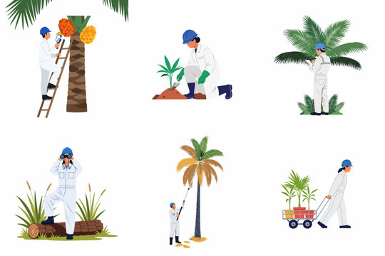 Set of industrial workers in protective gear managing palm tree cultivation and maintenance, including planting, harvesting, and monitoring tasks.