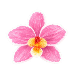 Fototapeta premium PNG Vibrant pink orchid illustration