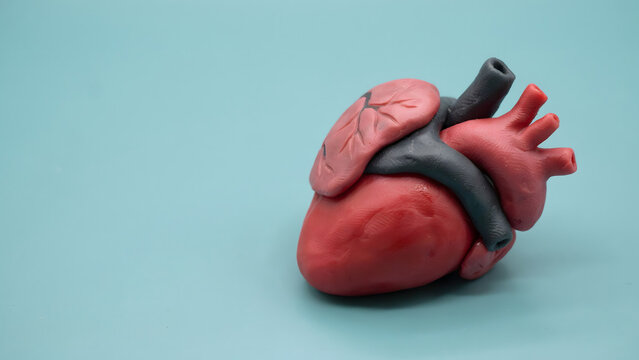 A stylized handmade clay model of a human heart on a light blue background
