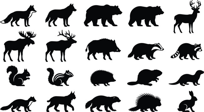 Forest animals black silhouette vector set with fox, wolf, bear, deer, moose, elk, wild boar, badger, and raccoon silhouettes