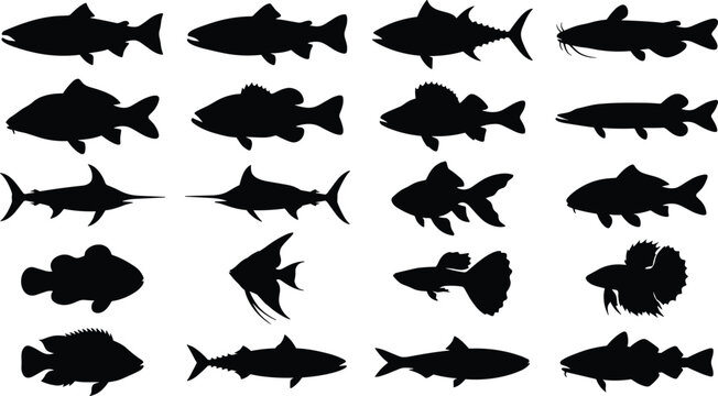 Fish species black silhouette vector set with salmon, tuna, catfish, bass, pike, swordfish, marlin, goldfish, carp, and guppy silhouettes