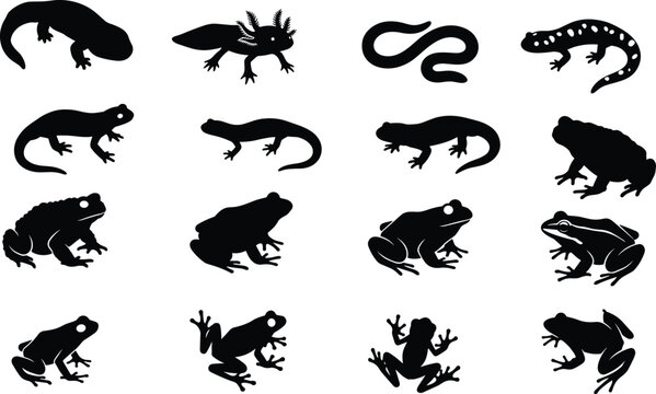 Amphibians silhouette vector set with frogs, toads, salamanders, newts, and axolotl silhouette