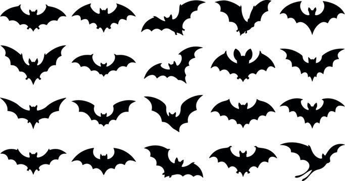 Collection of black bat silhouettes for halloween decor