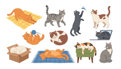 Fototapeta premium Cute domestic cats and playful kittens vector character collection . Domestic felines stretching, sleeping in box, playing with yarn ball .