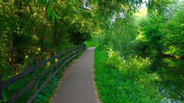 Canal towpath winding beside narrow canal with wooden fence in England. Sunlight filtering through dense green trees above calm water. Peaceful countryside trail, summer nature, British landscape