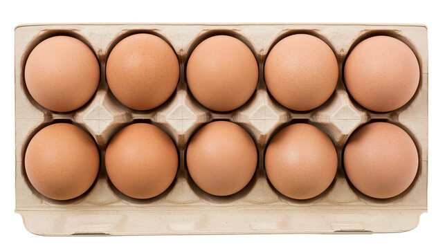 Ten brown chicken eggs in a cardboard carton, isolated on transparent background