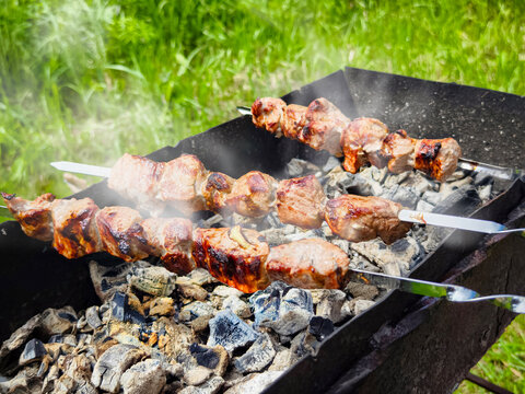 Grilling meat skewers over a charcoal fire in a green field on a sunny day