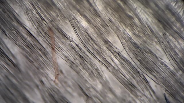 Microscopic view of synthetic t-shirt fabric texture with fibers and dust particles 