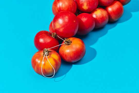 traditional spanish tomates de colgar in a cluster